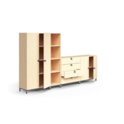 Prostorově úsporná nábytková sestava navržená designéry společnosti AJ Produkty. Můžete ji kombinovat s dalšími prvky řady QBUS a vytvořit tak dokonale sladěný úložný prostor. Sestava zahrnuje skříně