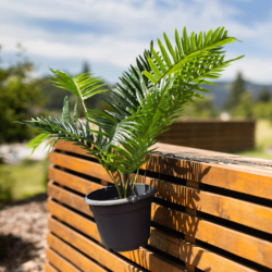 Závěsný květináč, plast, šedá, DIGAL