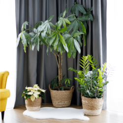 Obaly na květináče, set 3 ks, mořská tráva, hnědá, VALEL