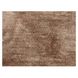 Koberec, světle hnědá, 80x150, ANNAG