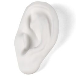 Seletti designové dekorace Memorabilia Mvsevm Ear