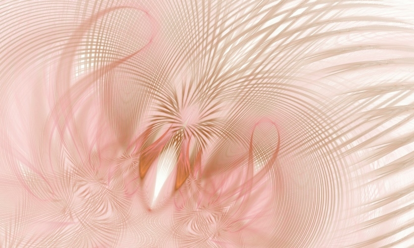 Obraz Rica Belna Graphic Flowers 3