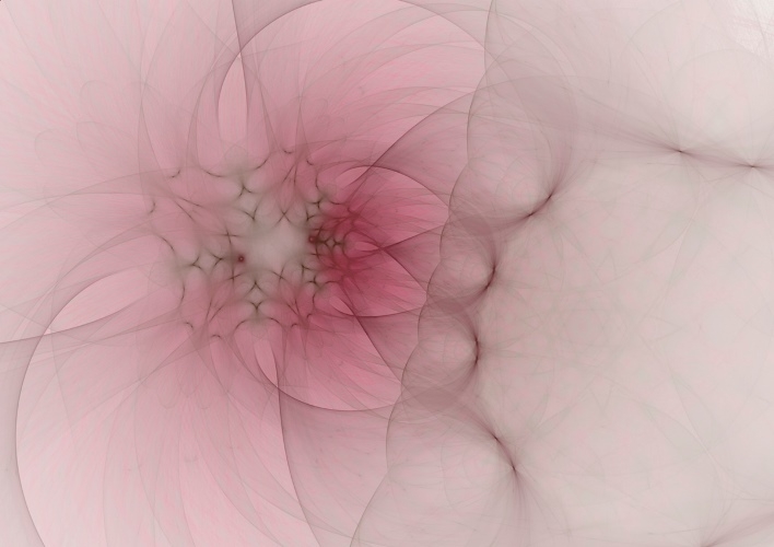 Obraz Rica Belna Graphic Flowers 4