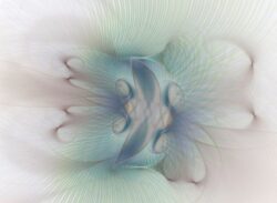 Obraz Rica Belna Graphic Flowers 2