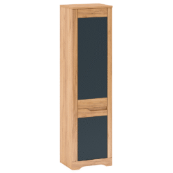 Skříň V2
